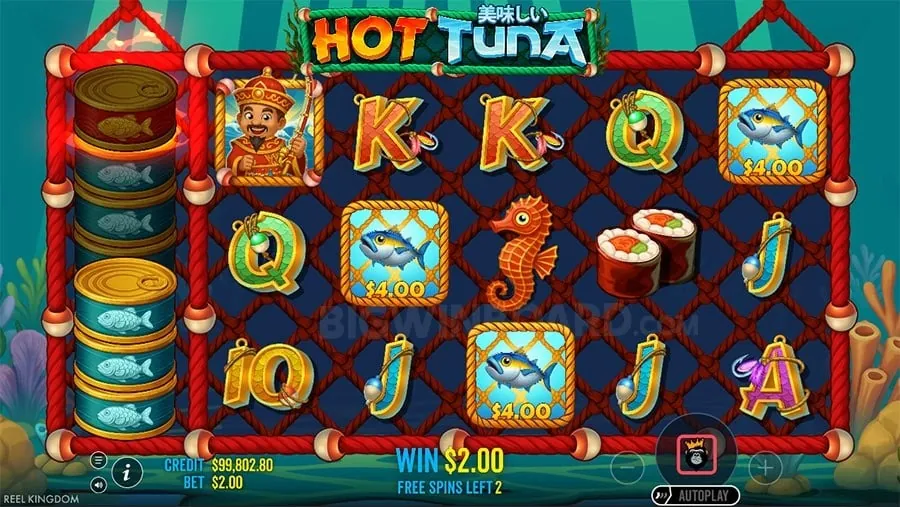 A collage of various online casino games and sports betting options available after 8k8 login.